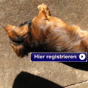 Der Themen TV Newsletter