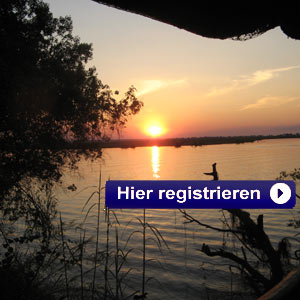 Der Themen TV Newsletter